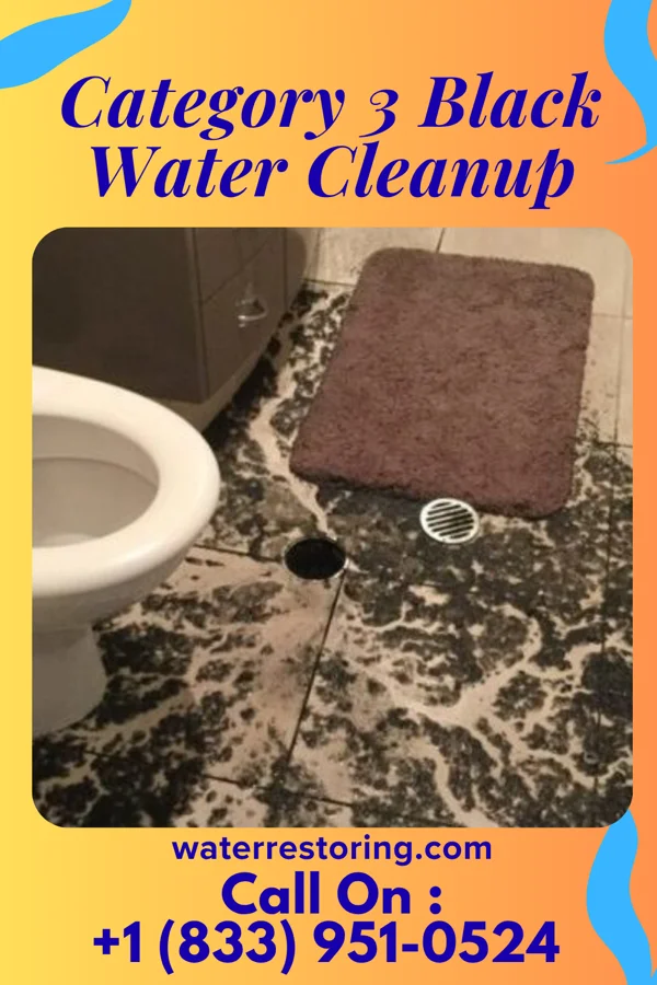 Category 3 Black Water Cleanup in Duncan, IA