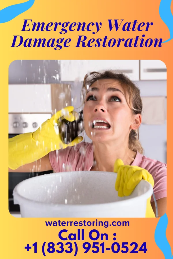 Emergency Water Damage Restoration in Duncan, IA